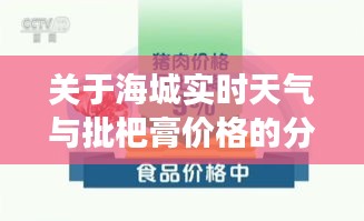 关于海城实时天气与批杷膏价格的分析解读