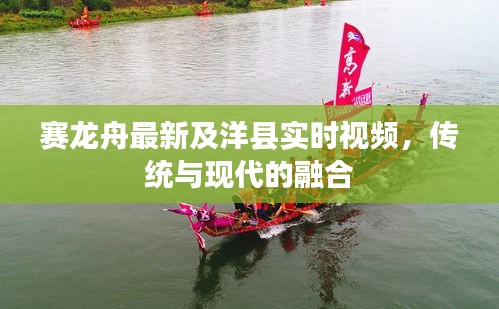 赛龙舟最新及洋县实时视频，传统与现代的融合