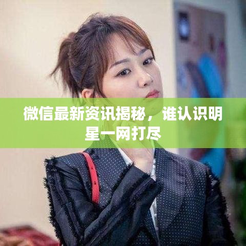 微信最新资讯揭秘，谁认识明星一网打尽