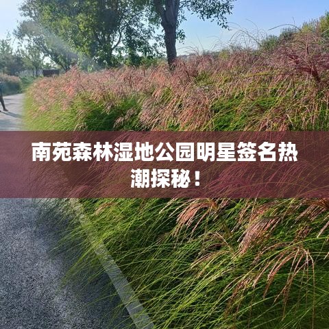 南苑森林湿地公园明星签名热潮探秘！
