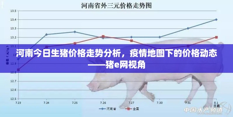 河南今日生猪价格走势分析，疫情地图下的价格动态——猪e网视角
