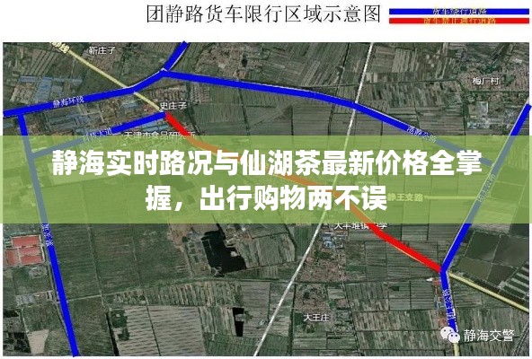 静海实时路况与仙湖茶最新价格全掌握,出行购物两不误