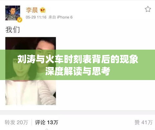 刘涛与火车时刻表背后的现象深度解读与思考
