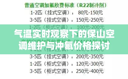 气温实时观察下的保山空调维护与冲氟价格探讨
