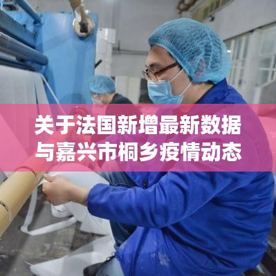 关于法国新增最新数据与嘉兴市桐乡疫情动态实时的深度剖析