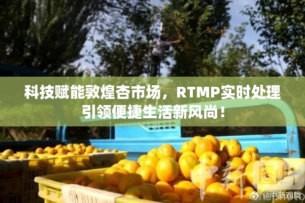 科技赋能敦煌杏市场，RTMP实时处理引领便捷生活新风尚！