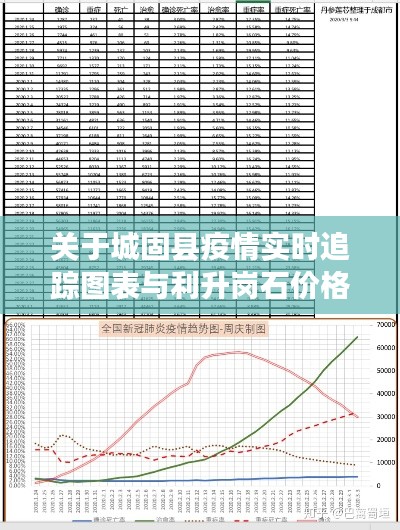 关于城固县疫情实时追踪图表与利升岗石价格的深度剖析