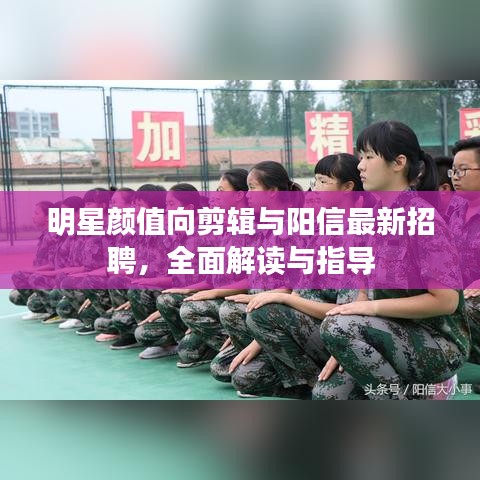 明星颜值向剪辑与阳信最新招聘，全面解读与指导