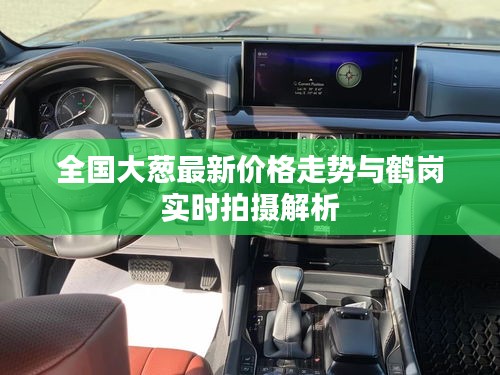 全国大葱最新价格走势与鹤岗实时拍摄解析