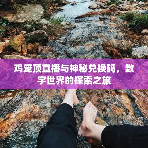 鸡笼顶直播与神秘兑换码，数字世界的探索之旅