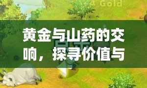 黄金与山药的交响，探寻价值与生活的内心感悟