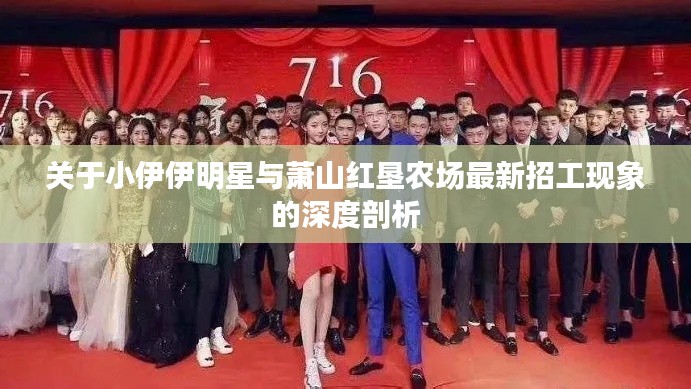 关于小伊伊明星与萧山红垦农场最新招工现象的深度剖析