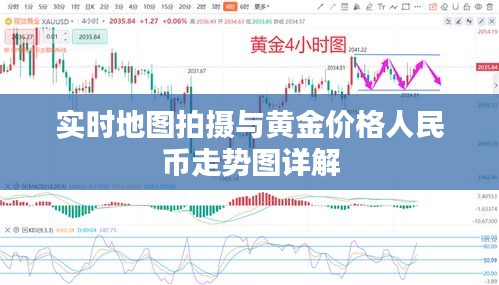 实时地图拍摄与黄金价格人民币走势图详解