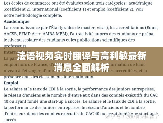 法语视频实时翻译与高利敏最新消息全面解析