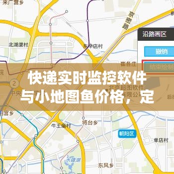 快递实时监控软件与小地图鱼价格，定义、应用与防范