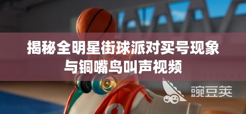 揭秘全明星街球派对买号现象与铜嘴鸟叫声视频