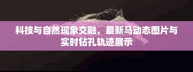 科技与自然现象交融，最新马动态图片与实时钻孔轨迹展示