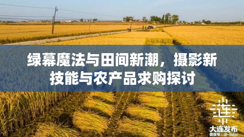 绿幕魔法与田间新潮，摄影新技能与农产品求购探讨