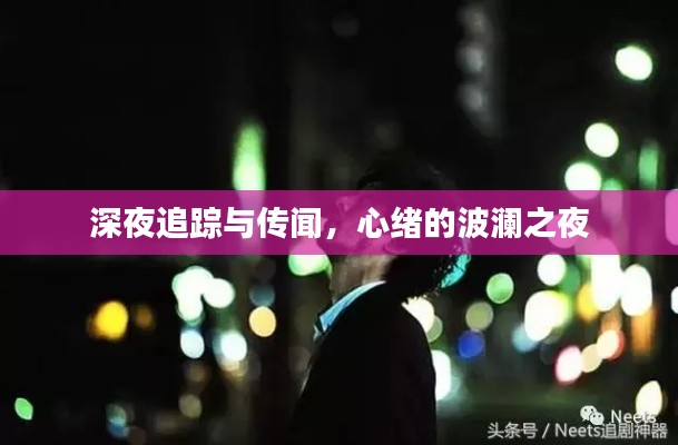 深夜追踪与传闻,心绪的波澜之夜