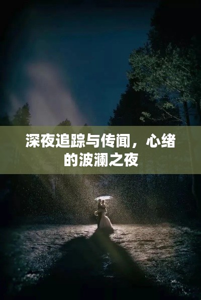 深夜追踪与传闻，心绪的波澜之夜