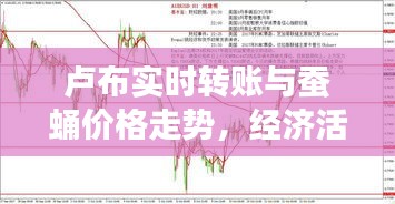 卢布实时转账与蚕蛹价格走势，经济活动多维探析观察