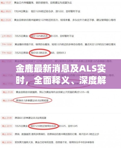 金鹿最新消息及ALS实时,全面释义、深度解读与风险预警