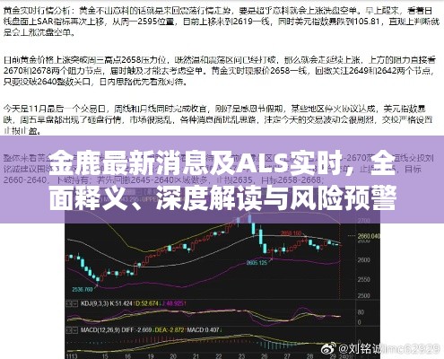 金鹿最新消息及ALS实时,全面释义、深度解读与风险预警
