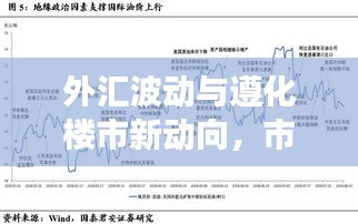 外汇波动与遵化楼市新动向,市场脉络与个体决策深度透视