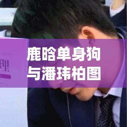 鹿晗单身狗与潘玮柏图片话题,明星热议与粉丝探讨
