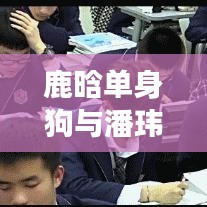 鹿晗单身狗与潘玮柏图片话题,明星热议与粉丝探讨