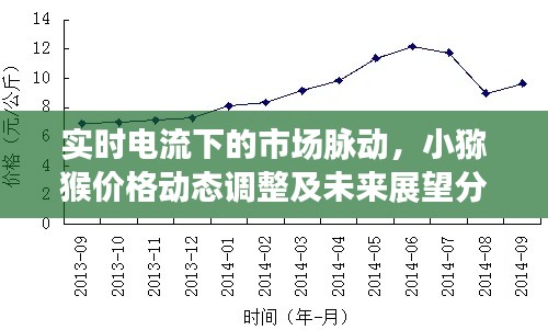 实时电流下的市场脉动,小猕猴价格动态调整及未来展望分析