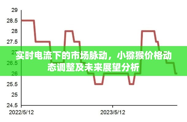 实时电流下的市场脉动,小猕猴价格动态调整及未来展望分析