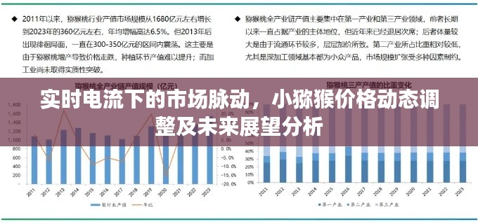 实时电流下的市场脉动,小猕猴价格动态调整及未来展望分析