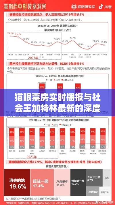 猫眼票房实时播报与社会王加特林最新的深度解析