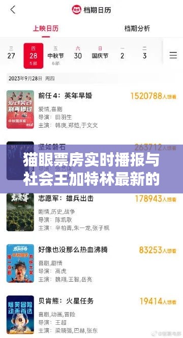 猫眼票房实时播报与社会王加特林最新的深度解析
