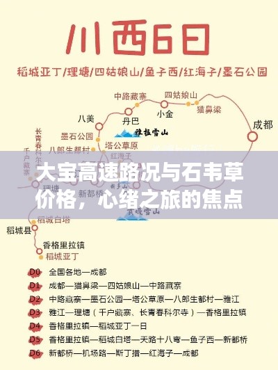 大宝高速路况与石韦草价格,心绪之旅的焦点解读