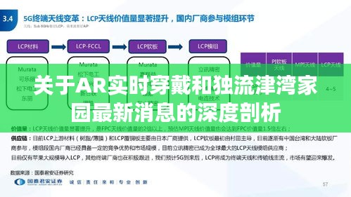 关于AR实时穿戴和独流津湾家园最新消息的深度剖析