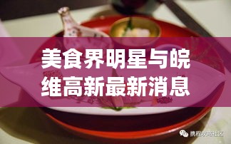 美食界明星与皖维高新最新消息深度剖析