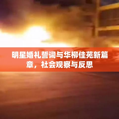 明星婚礼誓词与华柳佳苑新篇章,社会观察与反思