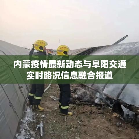 内蒙疫情最新动态与阜阳交通实时路况信息融合报道