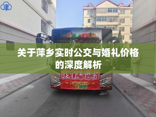 关于萍乡实时公交与婚礼价格的深度解析