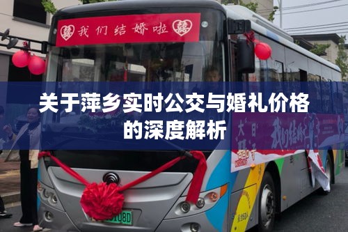 关于萍乡实时公交与婚礼价格的深度解析