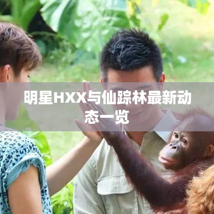 明星HXX与仙踪林最新动态一览