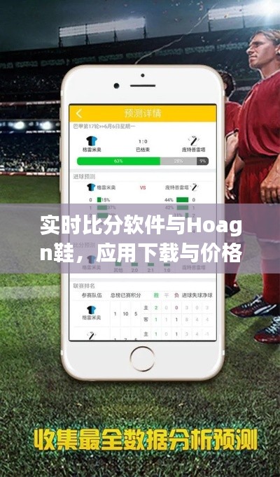 实时比分软件与Hoagn鞋,应用下载与价格观察的双重视角