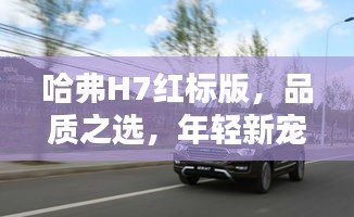 哈弗H7红标版,品质之选,年轻新宠,科技美学的典范