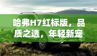 哈弗H7红标版,品质之选,年轻新宠,科技美学的典范