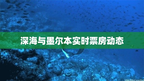深海与墨尔本实时票房动态