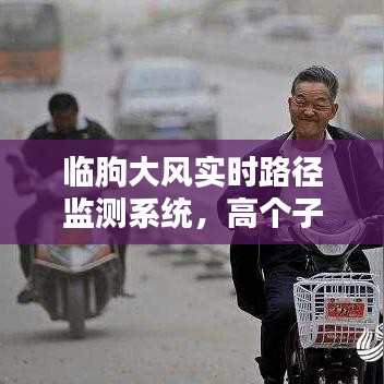 临朐大风实时路径监测系统,高个子引领潮流风尚的新动向监测报告