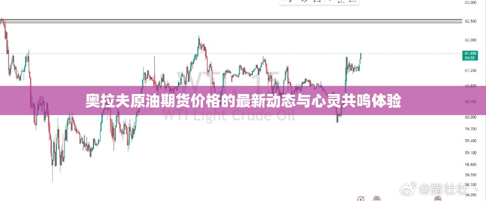 奥拉夫原油期货价格的最新动态与心灵共鸣体验