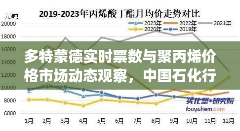 多特蒙德实时票数与聚丙烯价格市场动态观察,中国石化行业趋势分析
